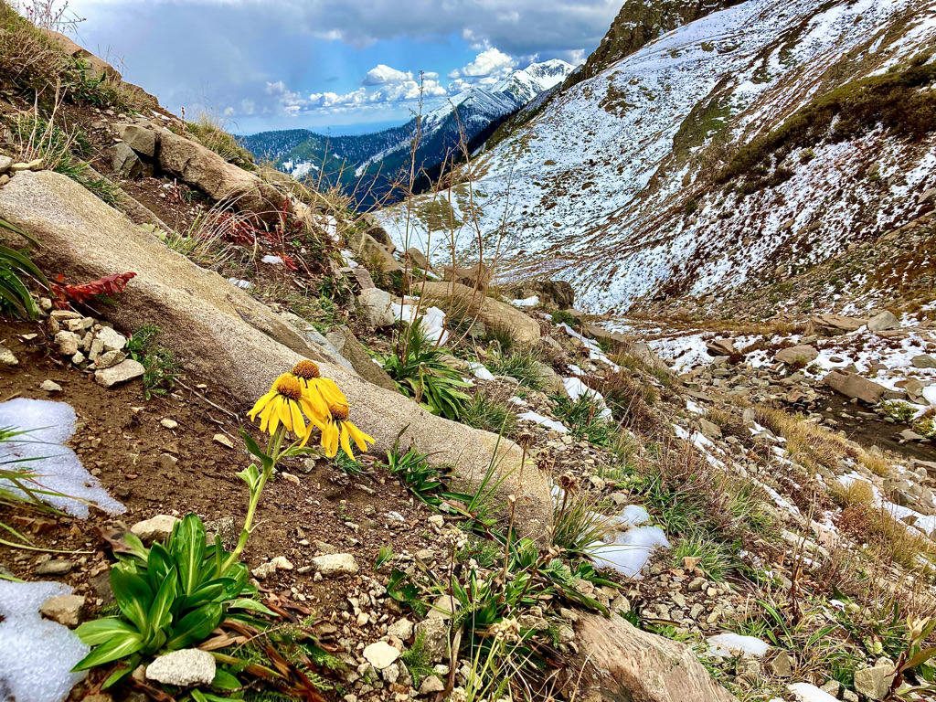 11A16B0D-12E2-492B-9DAB-72235090CF42_1_105_c