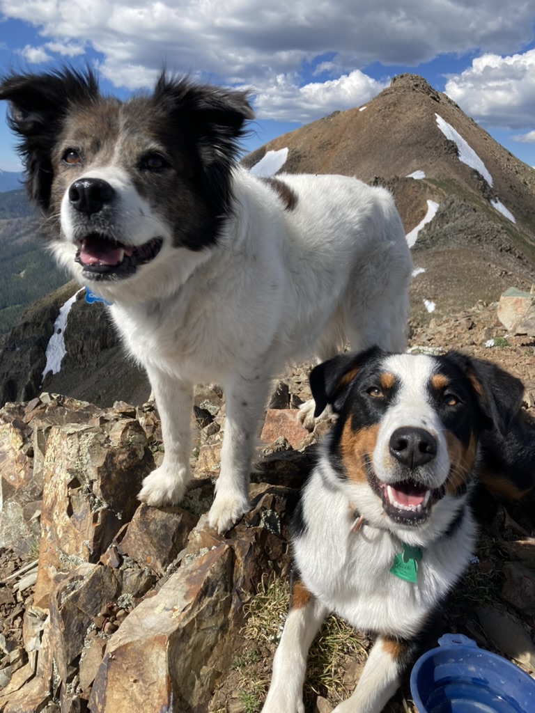 4721778F-0197-4C79-AE87-2A5FBFEA2534_1_105_c