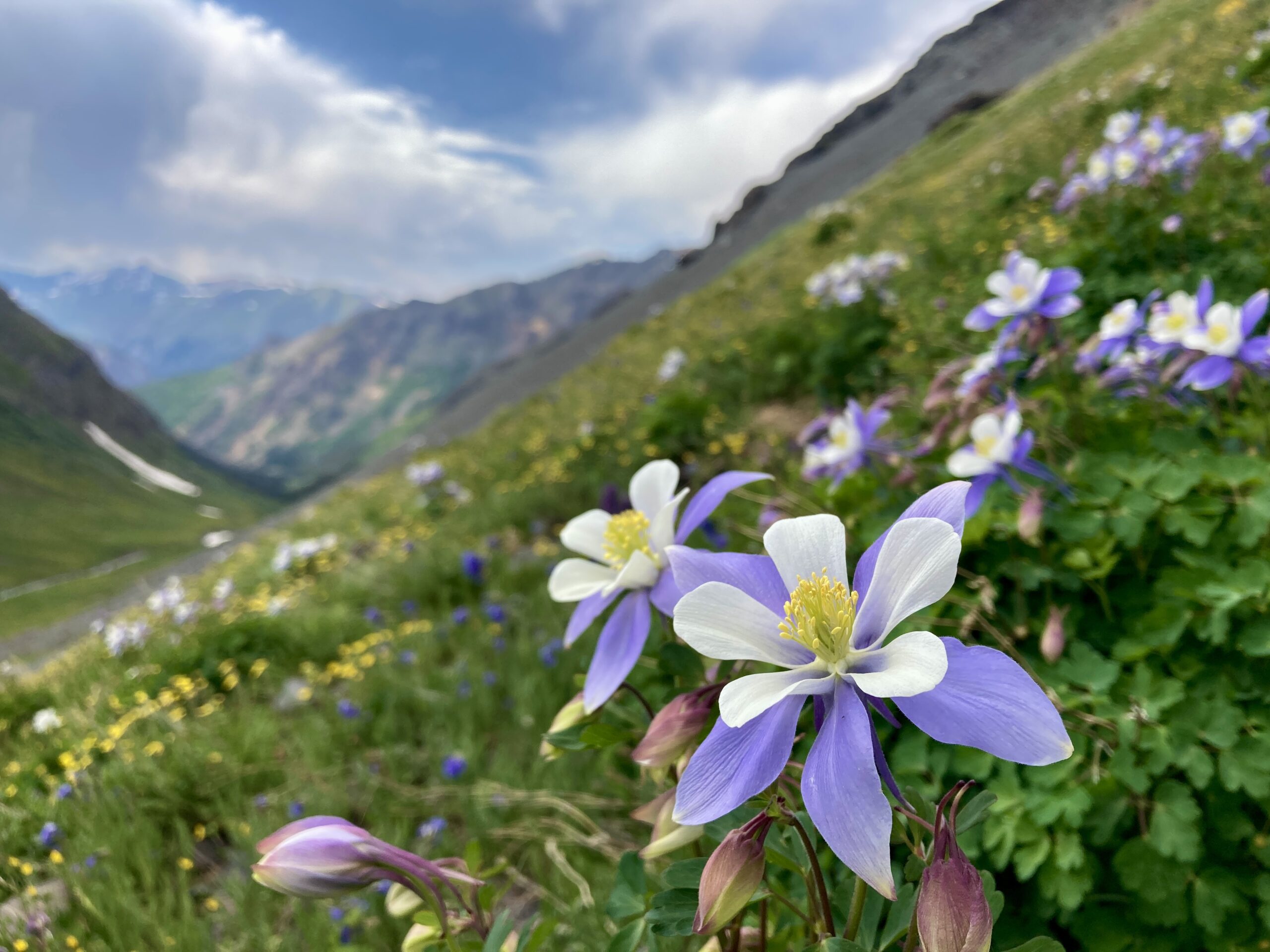 75CF5954-9598-4860-B00A-7BDE2CCC1C40