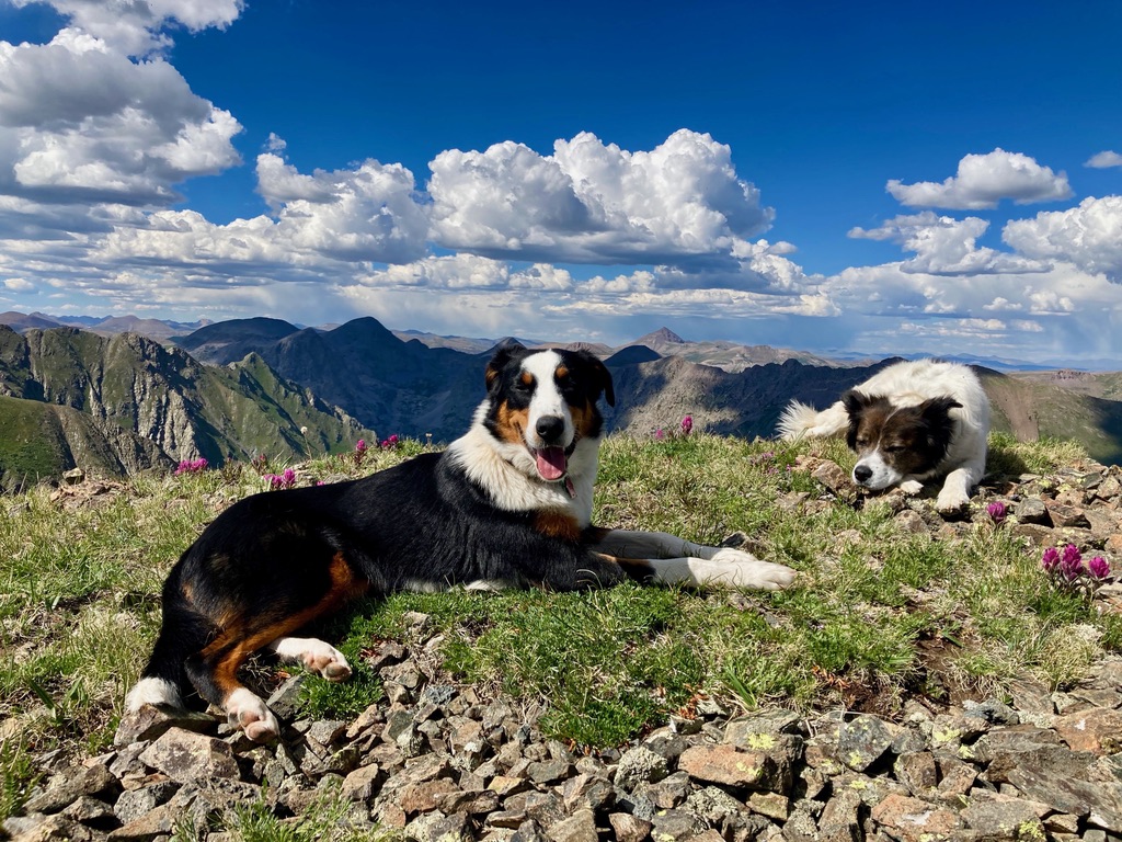 929BA50F-DF0B-4694-A5A2-446678CEAAC3_1_105_c