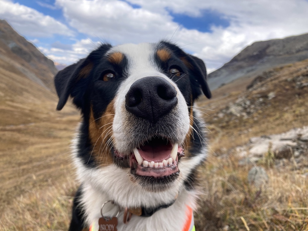 A1D93E4F-AD48-40E2-B8AF-3F3BF9AD8565_1_105_c