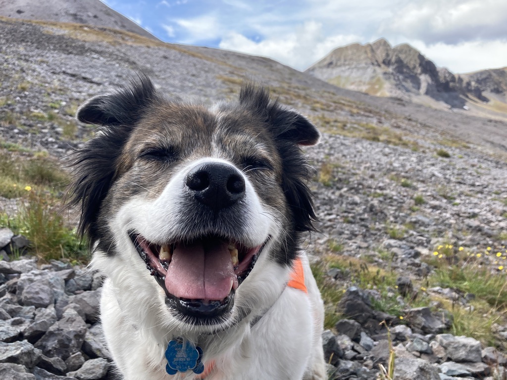 DB58E405-ABC0-4C64-B83A-9A65143FDDCA_1_105_c